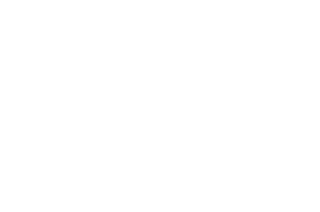 BEST DOCUMENTARY FINALIST - AFRIFF - 2022